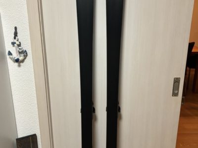 Ski Head Worldcup Rebels e-Speed Pro 175 cm