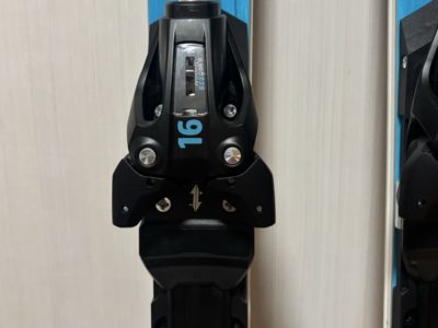 Ski Head Worldcup Rebels e-Speed Pro 175 cm